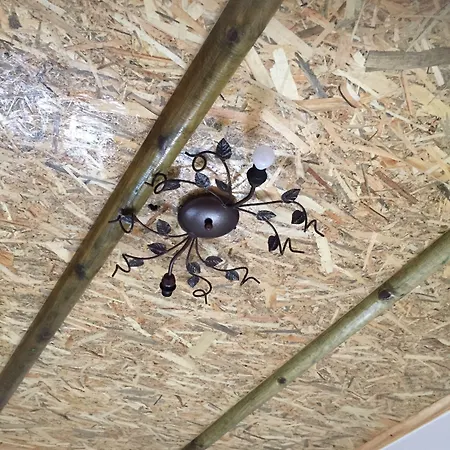 Anastasia Studios, & 3*